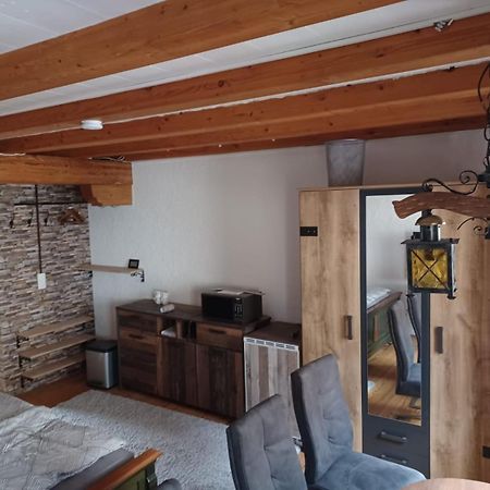 See- Und Altstadthaeusle - Alles Direkt Vor Der Haustuer - Bodenseeufer Natur Altstadt Bahnhof Bora-Sauna - Klein Und Super Zentral Zum See Oepnv Stadt Natur Etc - Appartement Historica 博登斯边的拉多夫采尔 外观 照片