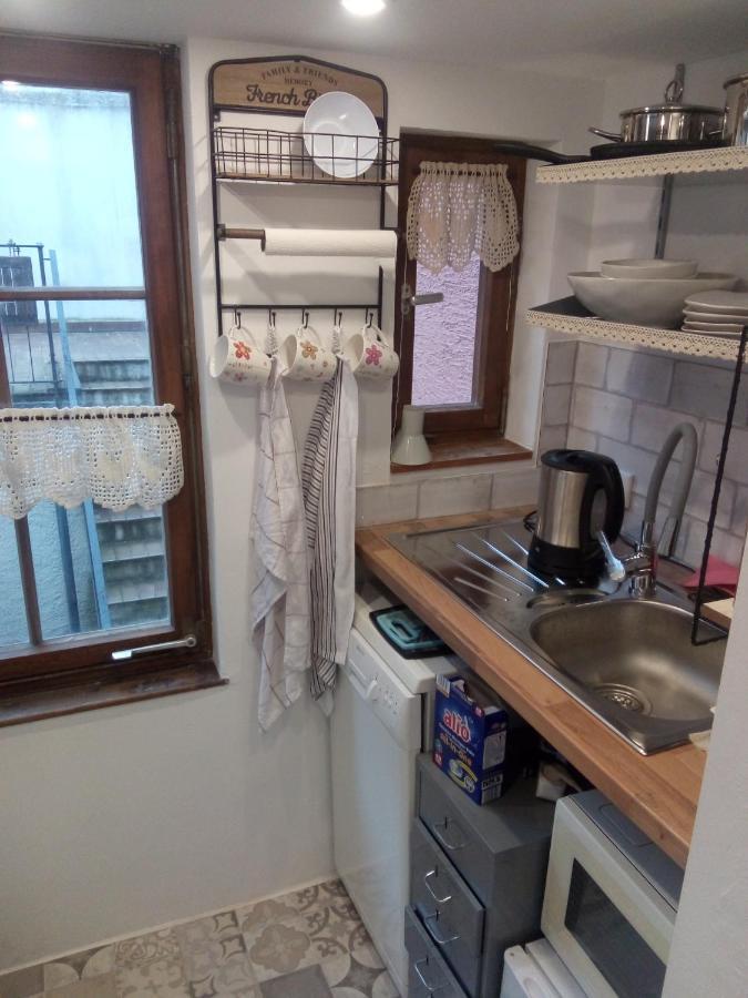 See- Und Altstadthaeusle - Alles Direkt Vor Der Haustuer - Bodenseeufer Natur Altstadt Bahnhof Bora-Sauna - Klein Und Super Zentral Zum See Oepnv Stadt Natur Etc - Appartement Historica 博登斯边的拉多夫采尔 外观 照片